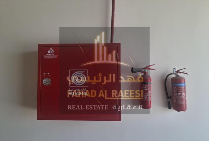 15259706 - Property Image 3