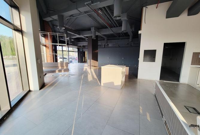 15332831 - Property Image 3