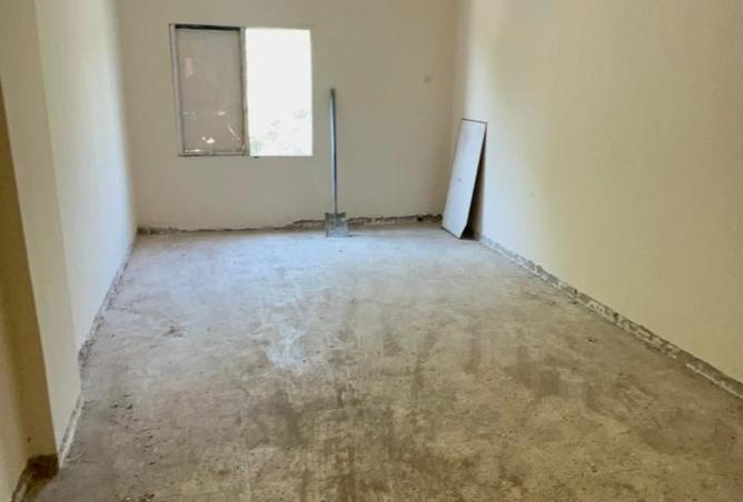 15651320 - Property Image 3