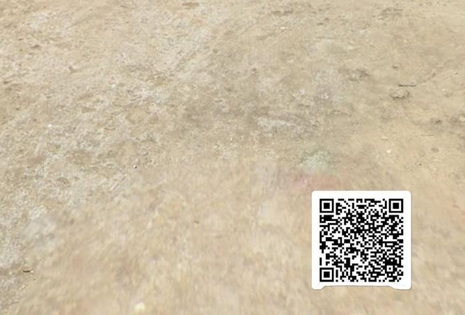 16102873 - صورة العقار 3