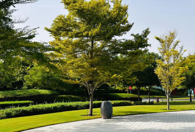 16004024 - صورة العقار 3