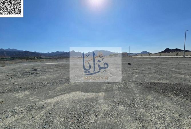 16064792 - Property Image 3