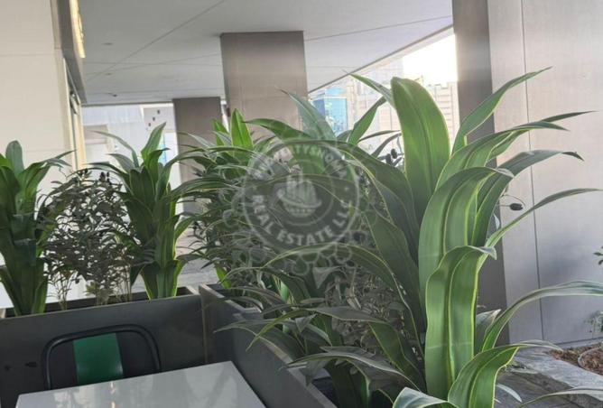 16012594 - Property Image 2