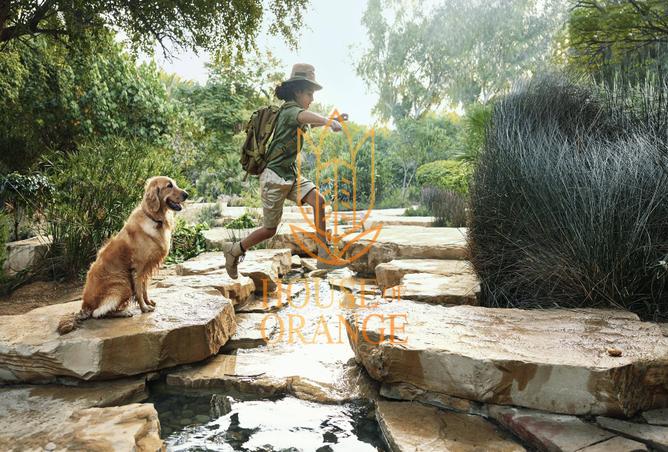 15382560 - صورة العقار 3