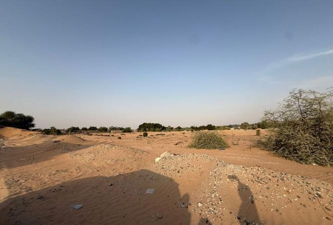 15613270 - Property Image 3