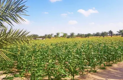 Farm - Studio - 4 Bathrooms for sale in Manazel Al Reef 2 - Al Samha - Abu Dhabi