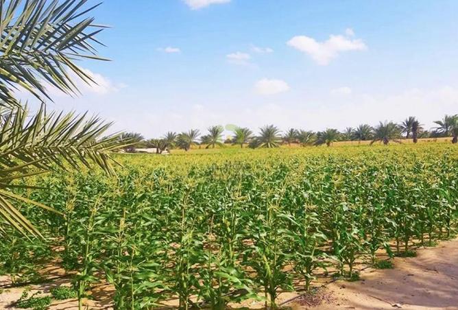 15694387 - Property Main Image