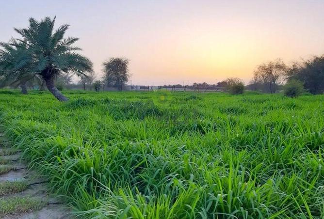 15694387 - Property Image 3