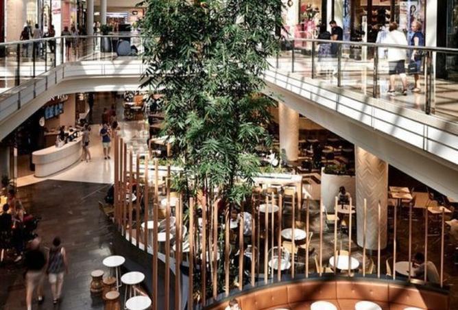 15811506 - Property Image 3