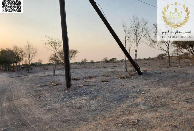 15306985 - صورة العقار 2