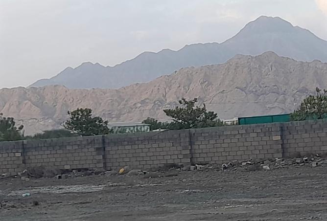 15914655 - صورة العقار 3