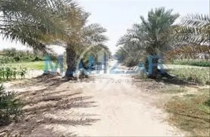 Garden image for: Farm - Studio for sale in Al Bahia - Abu Dhabi, Image 1