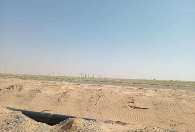 15520150 - صورة العقار 2