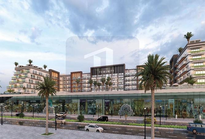 15250191 - Property Image 3