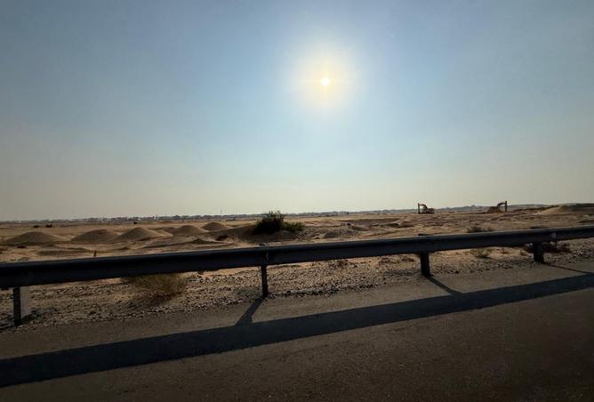 15528603 - Property Image 3