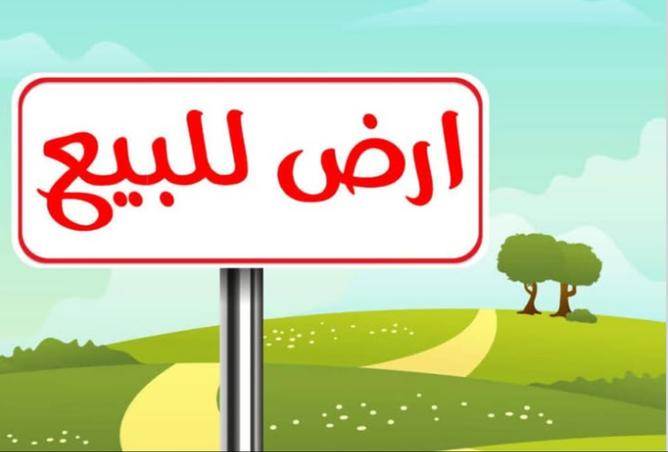 15839214 - الصورة الرئيسية للعقار