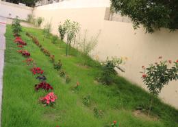 Staff Accommodation for rent in Phase 2 - Dubai Investment Park - Dubai