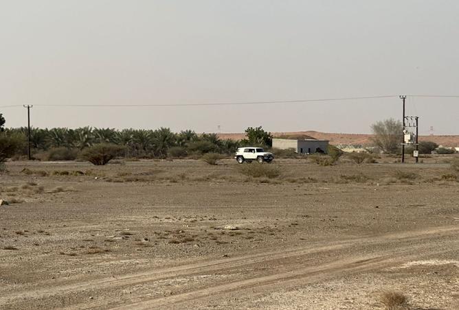 15596129 - Property Image 3