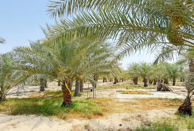 15895977 - Property Main Image