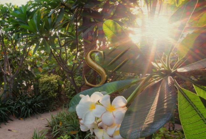 15817227 - Property Image 3