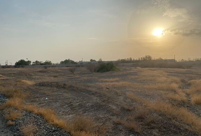 15245964 - صورة العقار 2