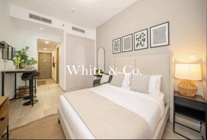 16105534 - Property Image 3