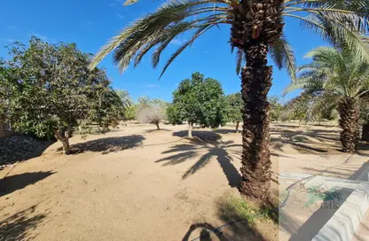 Farm - Studio for sale in Al Khatim - Abu Dhabi