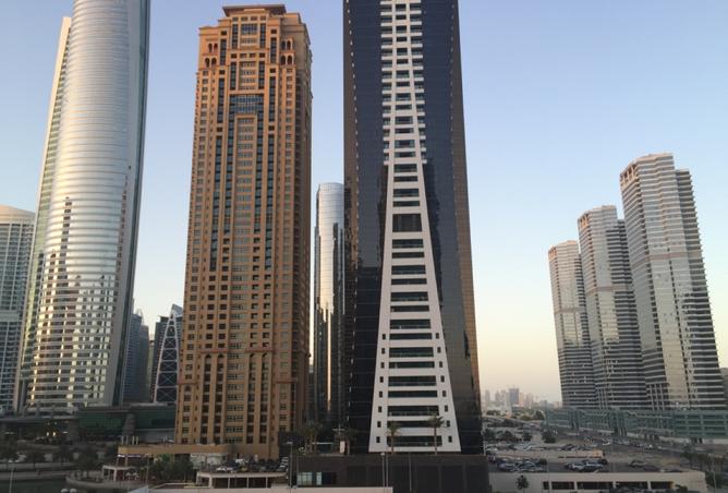 15551309 - Property Image 3