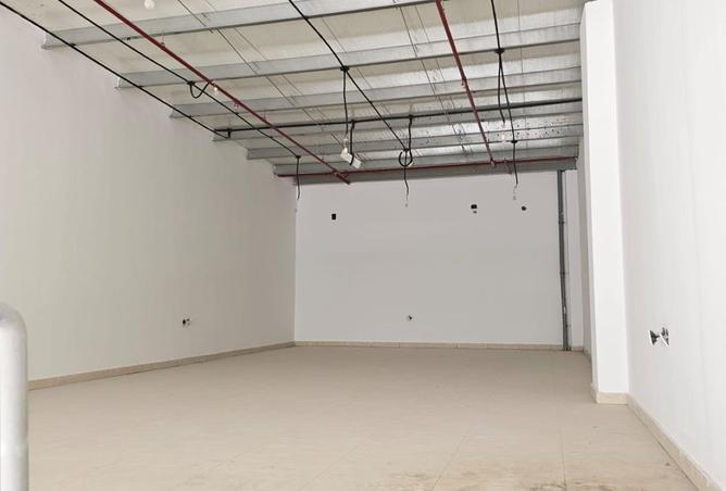 15179923 - Property Image 3
