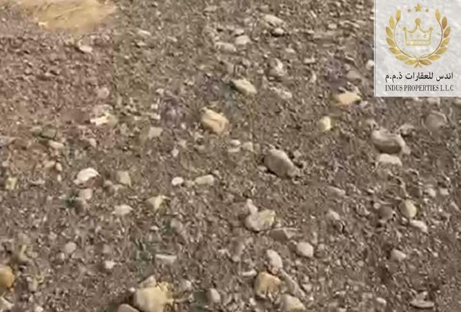 15178976 - صورة العقار 3