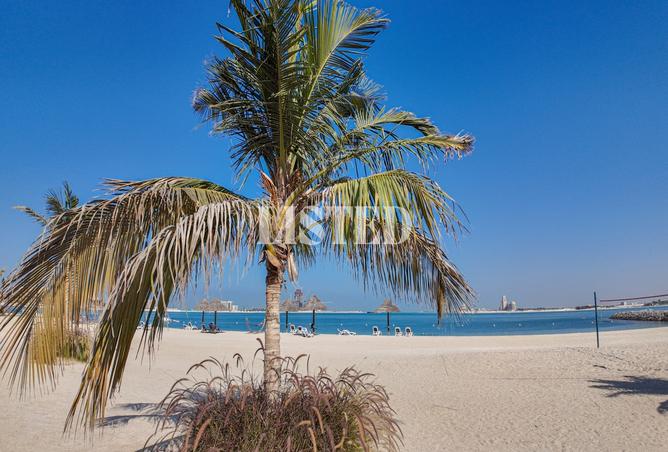 15882436 - صورة العقار 2