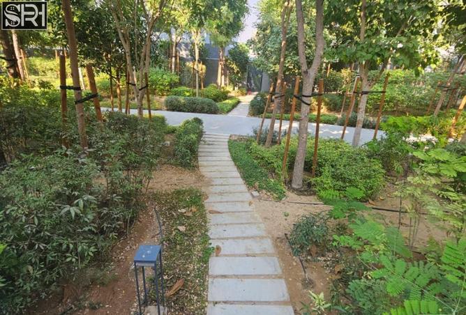 15531207 - Property Image 3