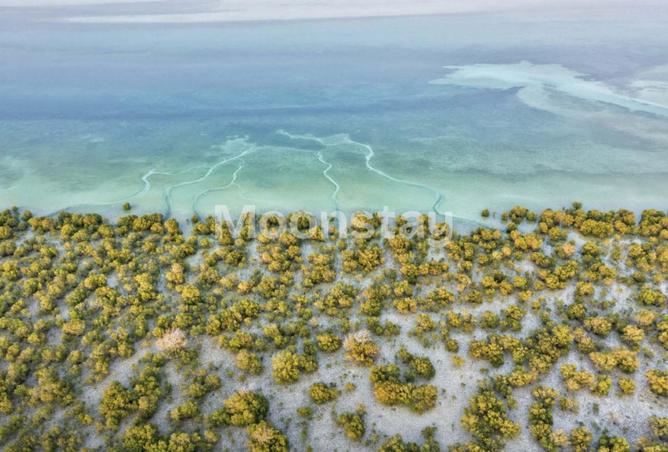 15700161 - صورة العقار 2