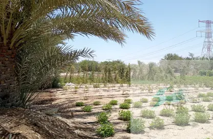 مزرعة - استوديو للبيع في كيزاد - السمحة - أبوظبي