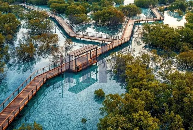 15698132 - Property Image 3