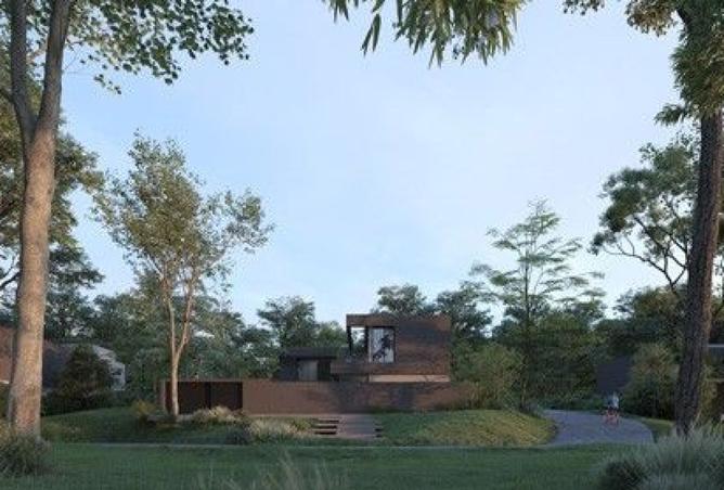 15834317 - Property Image 3