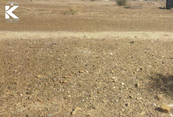 16060860 - Property Image 2