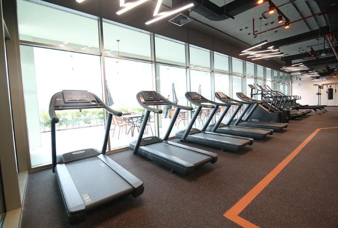 16020832 - Property Image 3