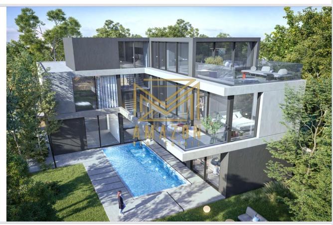 13641944 - Property Image 3