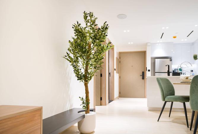 16061040 - Property Image 2