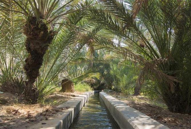 15397326 - Property Image 2