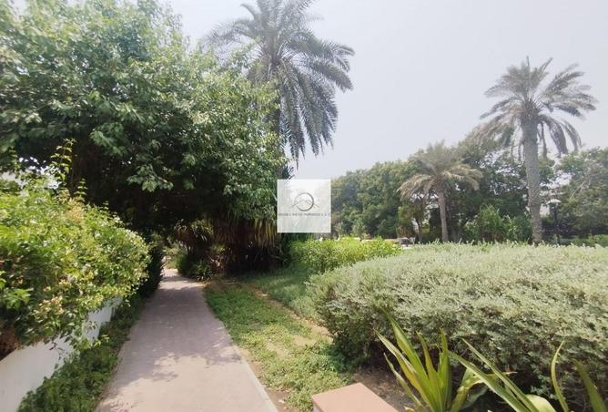 16063195 - صورة العقار 3