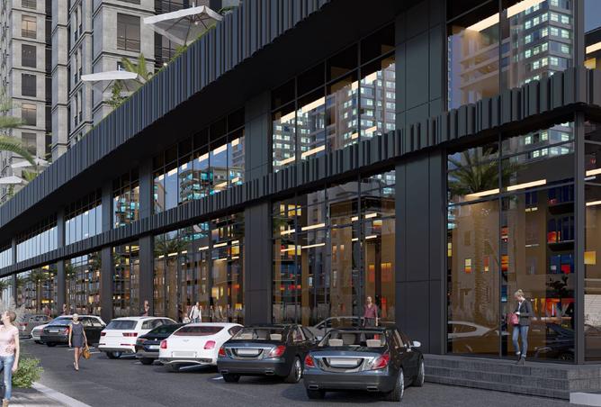 15554877 - Property Image 3