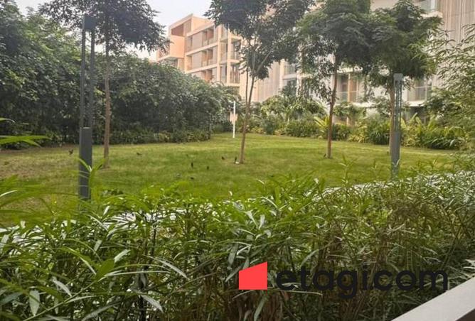 16027751 - Property Image 3