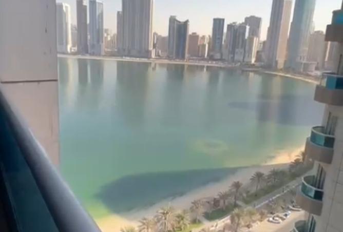 15838519 - Property Image 3