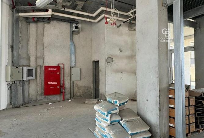 14240581 - Property Image 3
