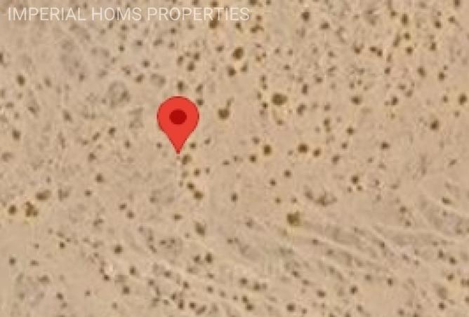 15841535 - صورة العقار 2