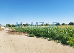 Farm - 4 bathrooms for sale in Liwa - Abu Dhabi