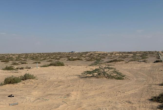 15955490 - Property Image 3