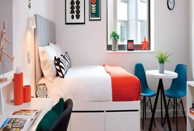 16066859 - Property Image 3